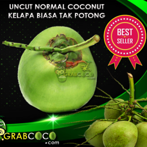 Uncut Fresh Normal Coconut | Kelapa Biasa Segar Tak Potong