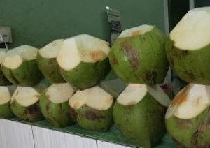 Wholesale / Coconut Supplier
