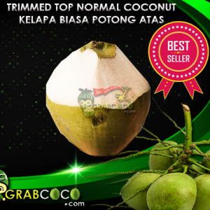 Trimmed Top Fresh Normal Coconut | Kelapa Biasa Segar Potong Atas (Penang, KL, JB)